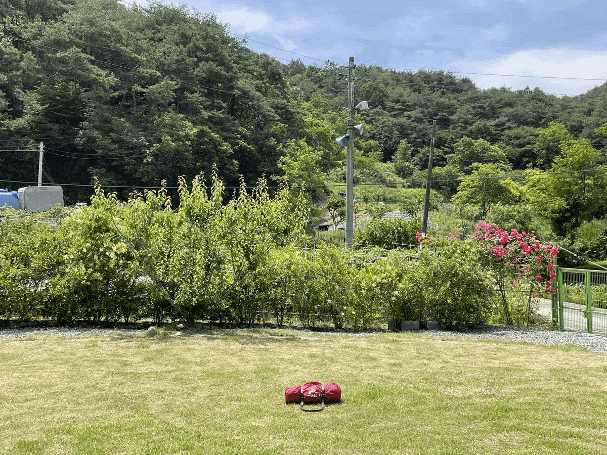 6a82474f6c04a506a4e13eef57429714_1749015797_1676.gif