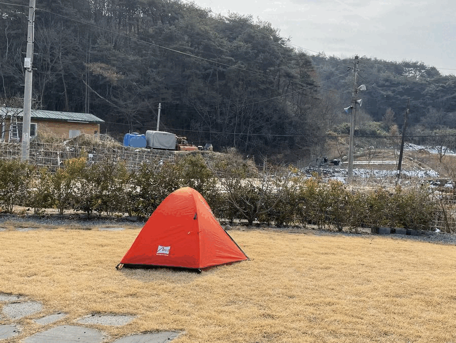 6a82474f6c04a506a4e13eef57429714_1749016498_9313.gif