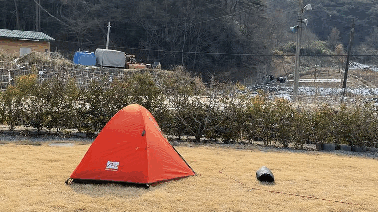 6a82474f6c04a506a4e13eef57429714_1749016501_1434.gif
